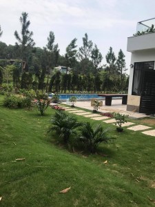 Bể bơi Vĩnh Phúc