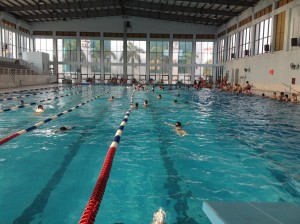 Phao phân làn bơi